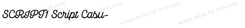 SCRIPT1 Script Casu字体转换